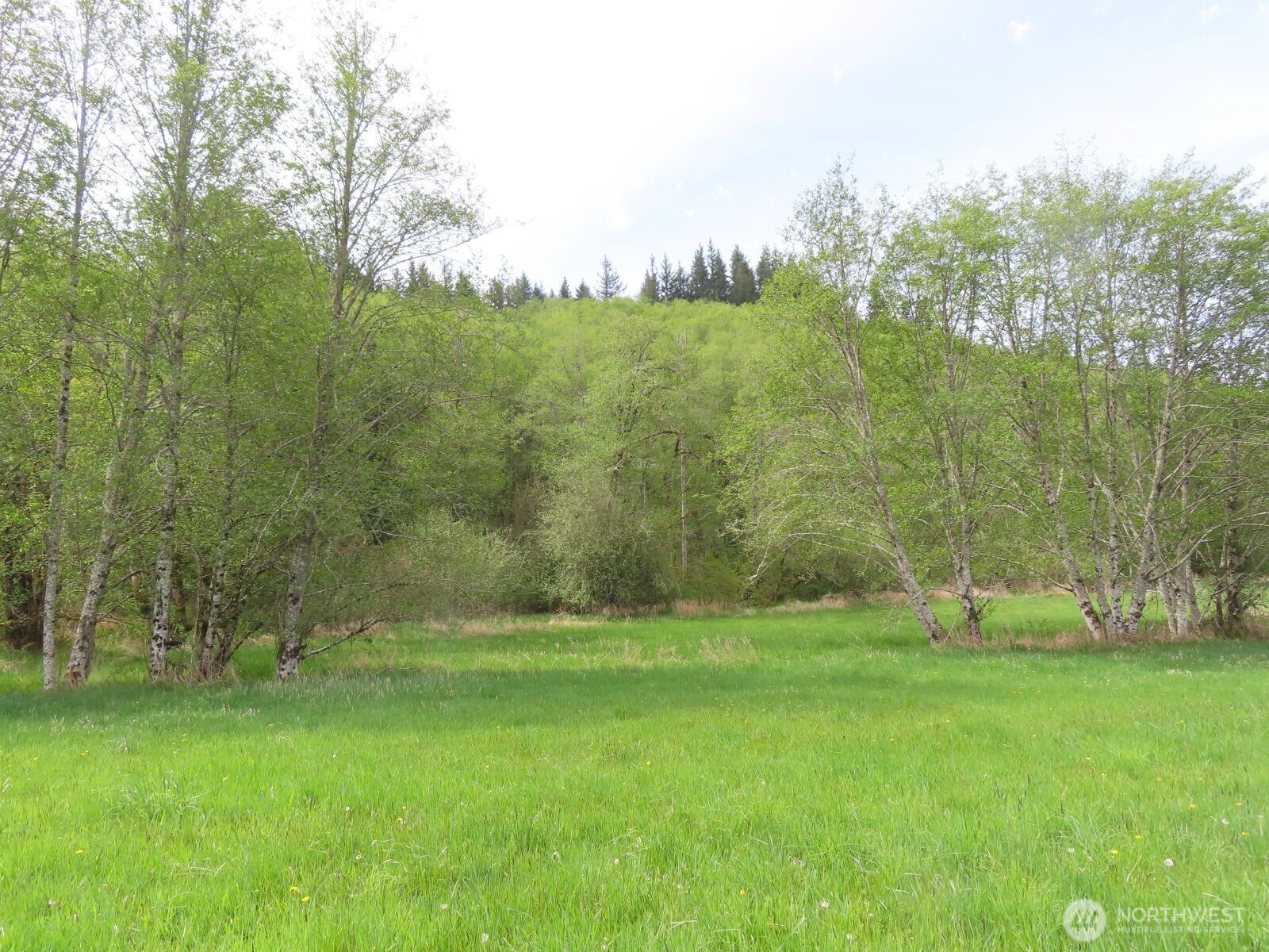 0 XXX Hagen Road , Mossyrock, WA 98645