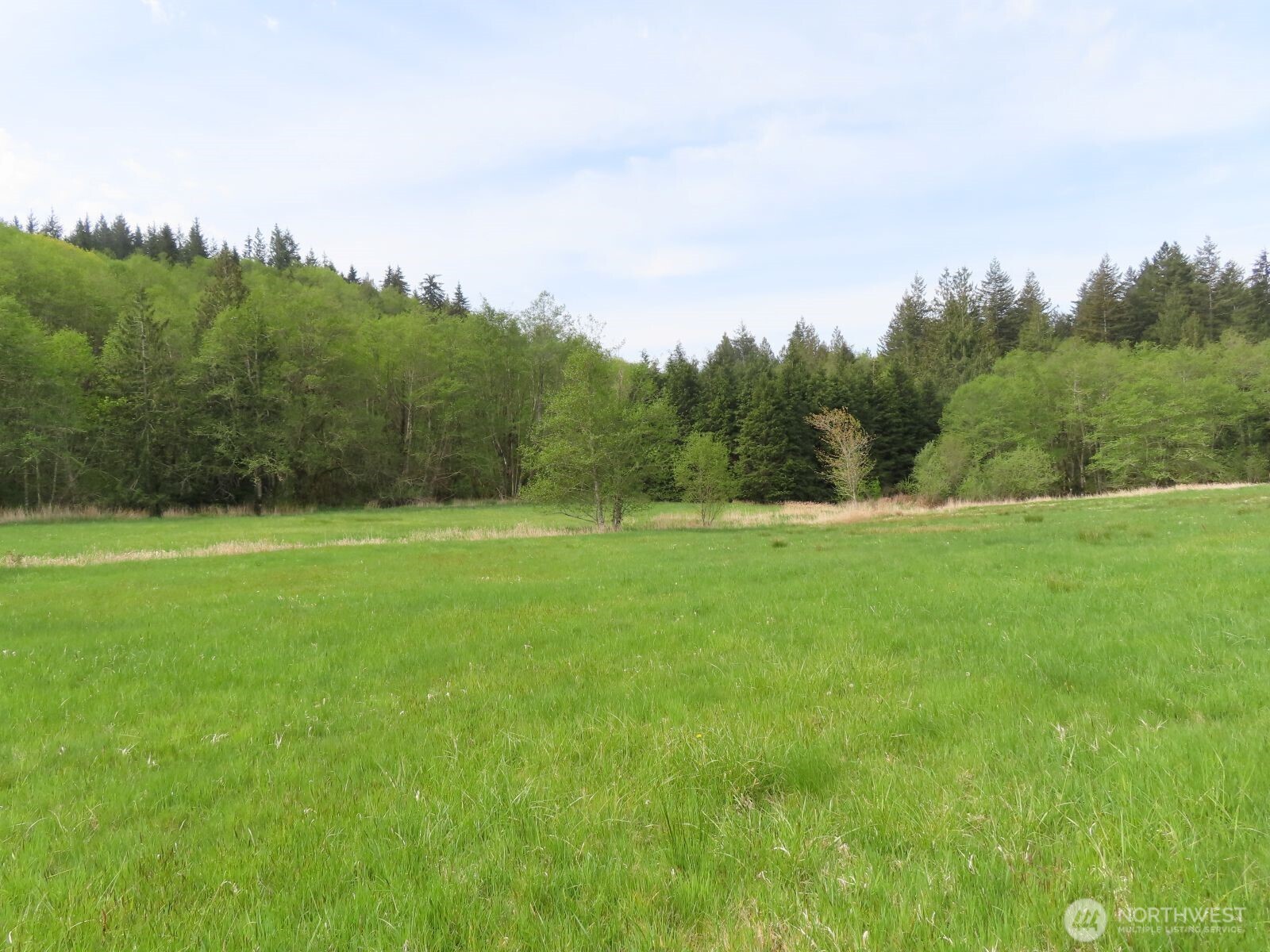 0 XXX Hagen Road , Mossyrock, WA 98645