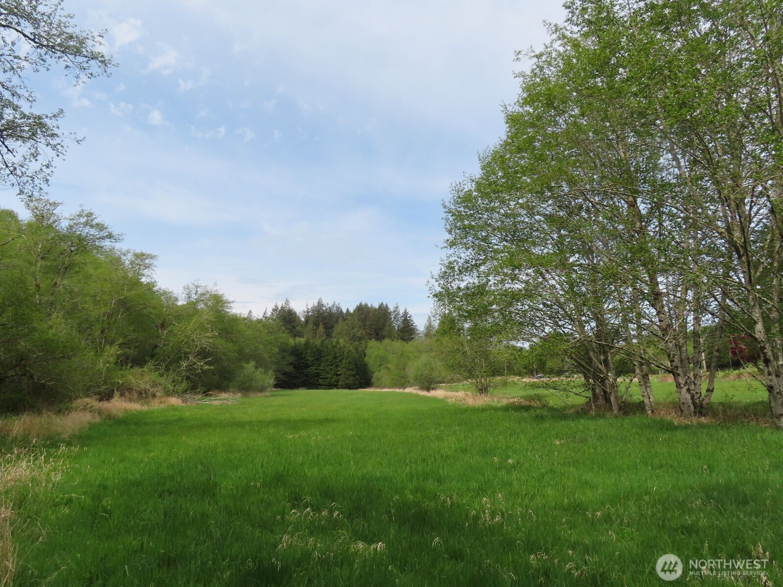 0 XXX Hagen Road , Mossyrock, WA 98645