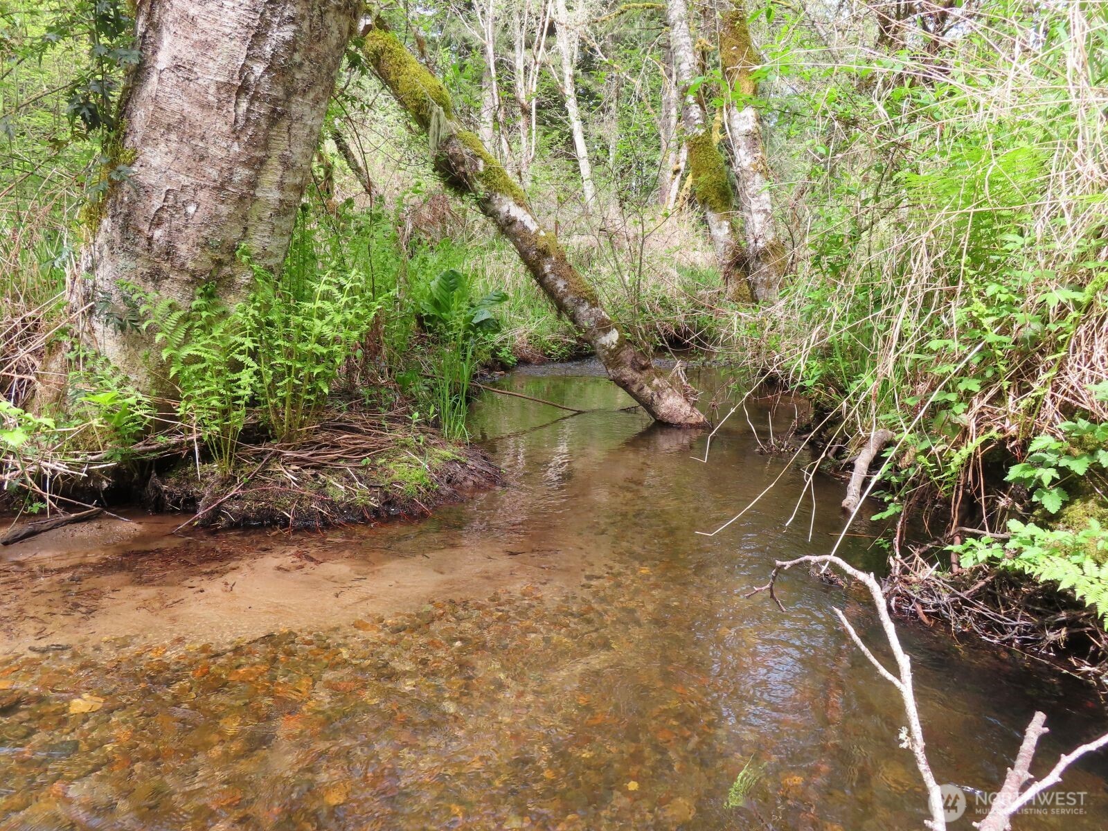 0 XXX Hagen Road , Mossyrock, WA 98645