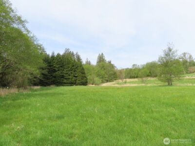 0 XXX Hagen Road , Mossyrock, WA 98645 - Photo 9