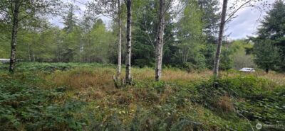 1351 Satsop Road W, Montesano, WA 98563