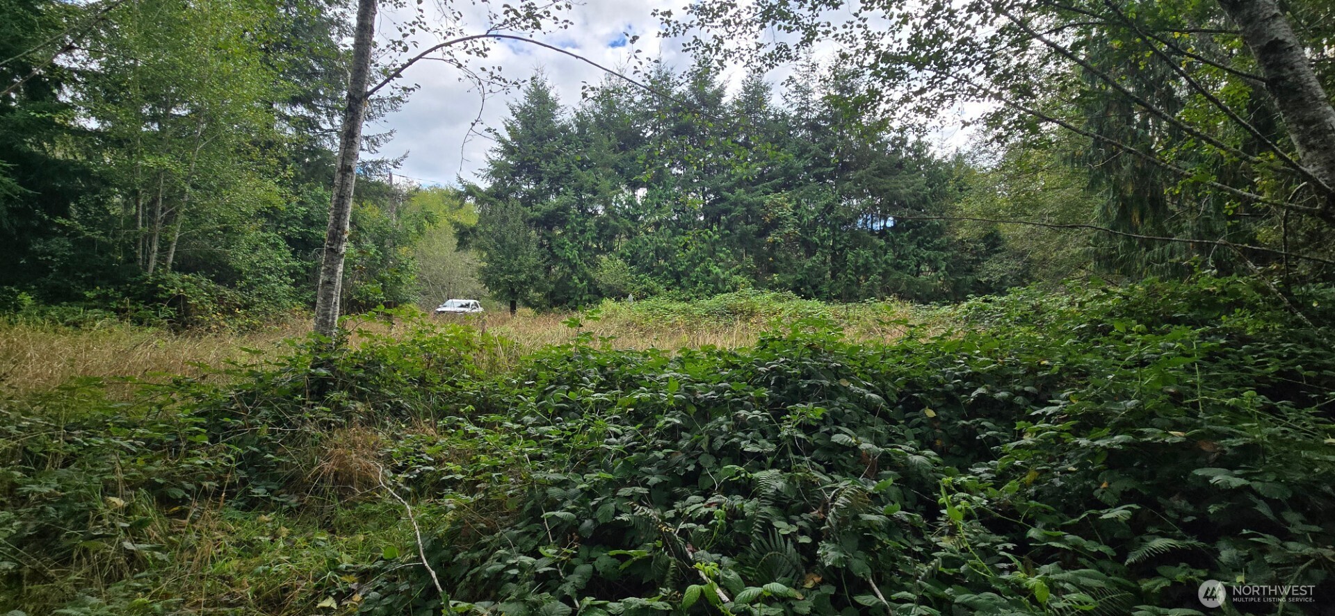 1351 Satsop Road W, Montesano, WA 98563