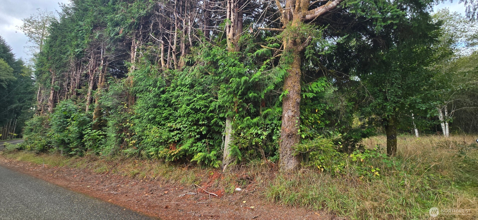 1351 Satsop Road W, Montesano, WA 98563