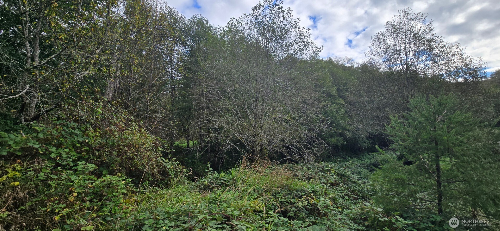 1351 Satsop Road W, Montesano, WA 98563