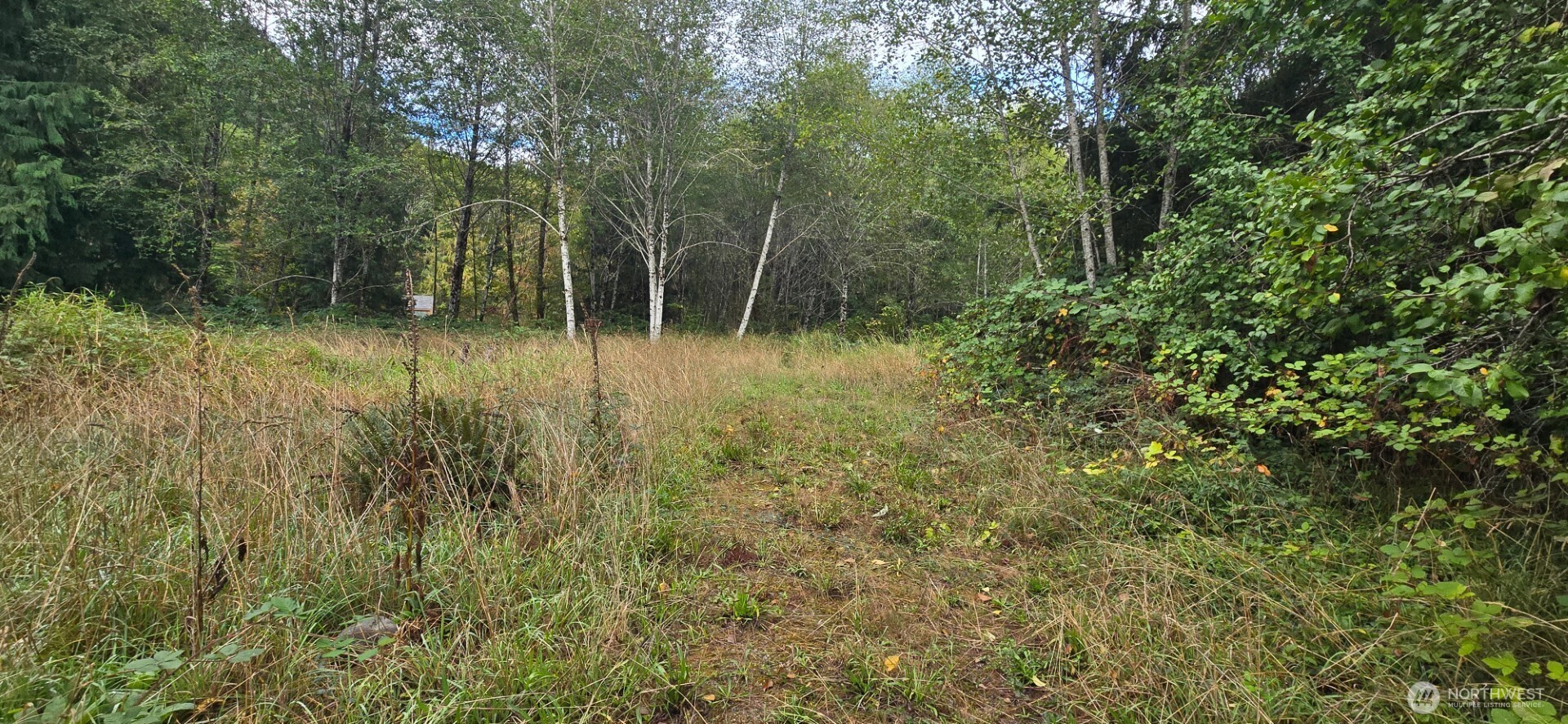 1351 Satsop Road W, Montesano, WA 98563