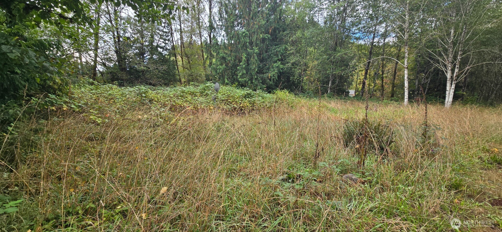 1351 Satsop Road W, Montesano, WA 98563