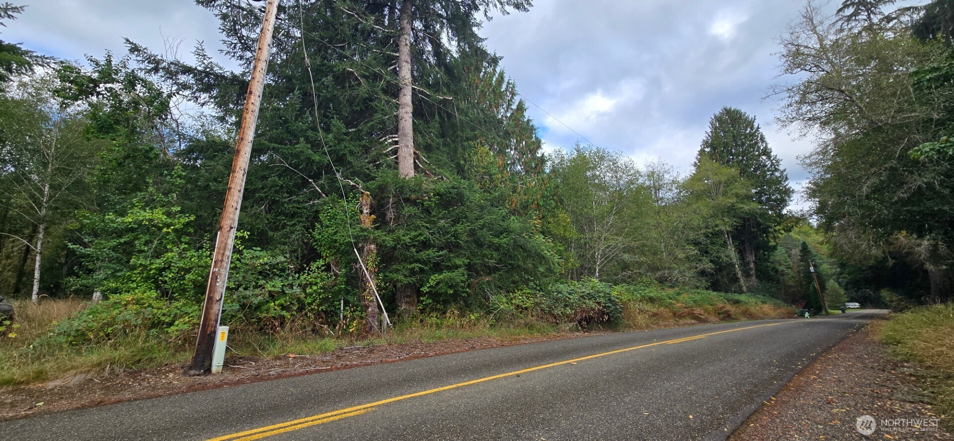1351 Satsop Road W, Montesano, WA 98563
