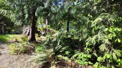 17523 433rd Avenue SE, Gold Bar, WA 98251 - Photo 19