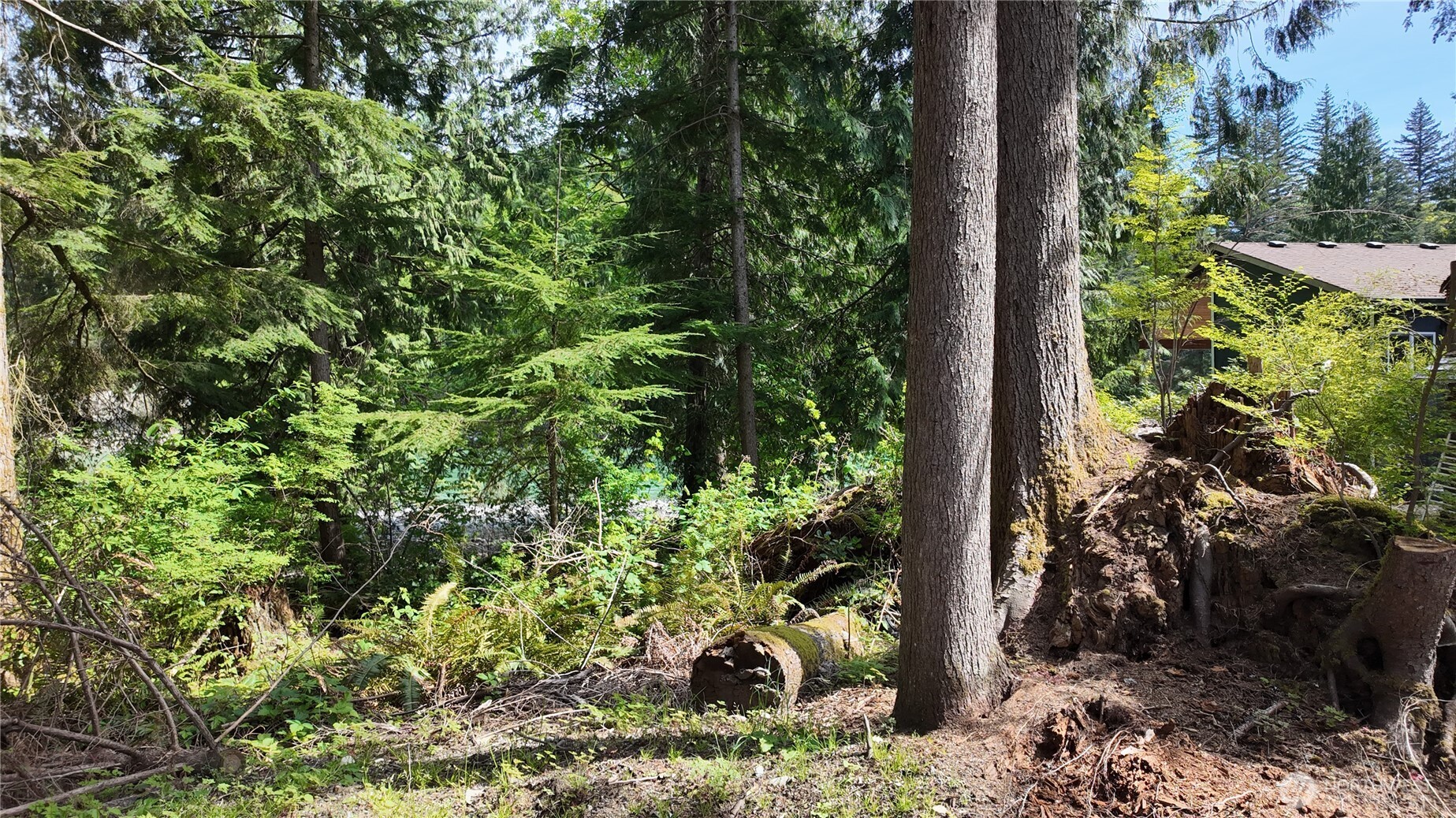 17523 433rd Avenue SE, Gold Bar, WA 98251