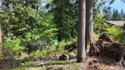17523 433rd Avenue SE, Gold Bar, WA 98251 - Photo 6