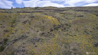 0 Chelan Hills Acres Tract , Orondo, WA 98843 - Photo 12