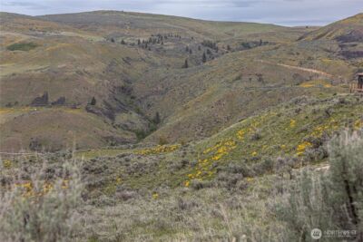 0 Chelan Hills Acres Tract , Orondo, WA 98843 - Photo 27