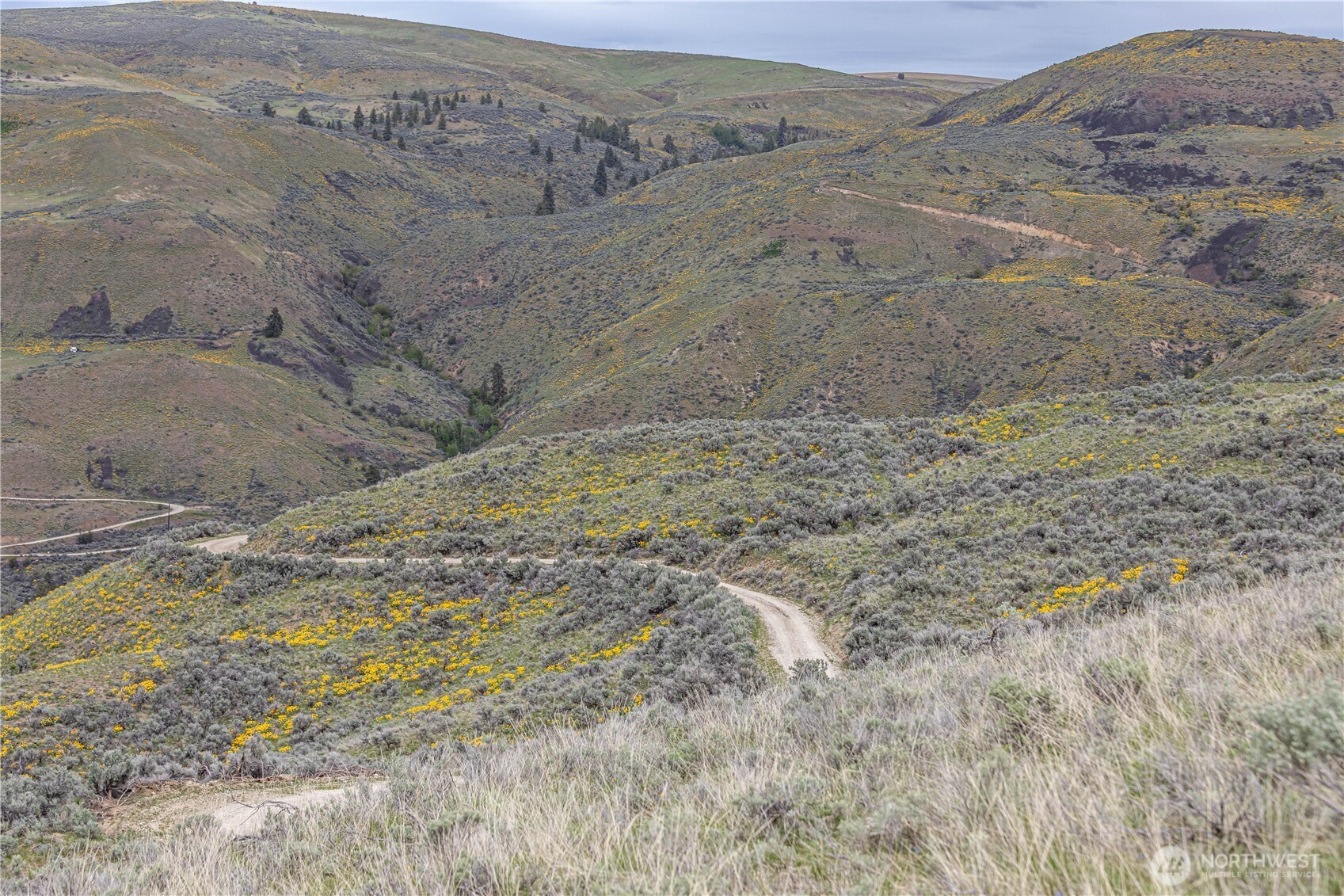 0 Chelan Hills Acres Tract , Orondo, WA 98843