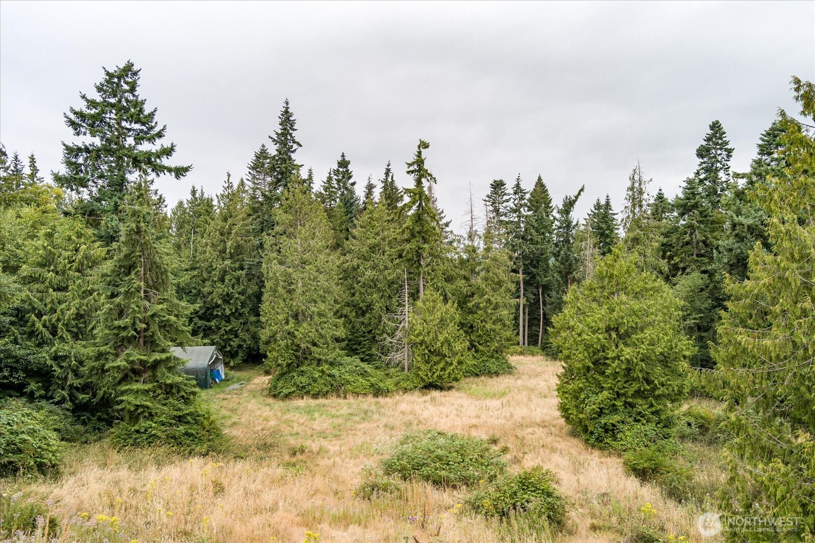 8175 Mossy Rock Road , Clinton, WA 98236