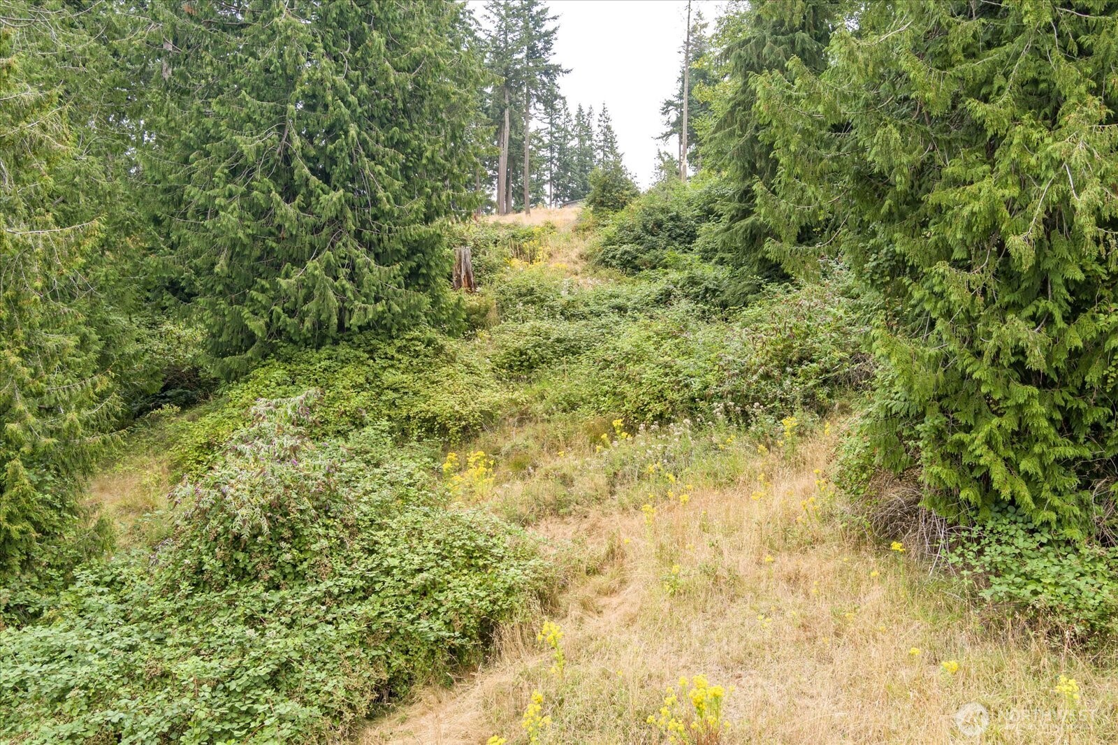 8175 Mossy Rock Road , Clinton, WA 98236