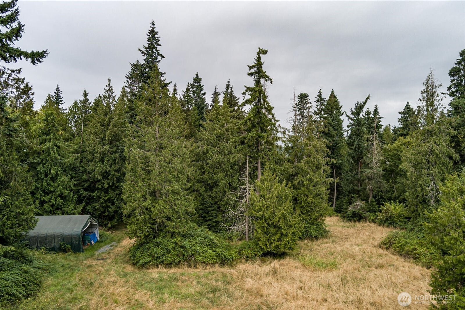 8175 Mossy Rock Road , Clinton, WA 98236