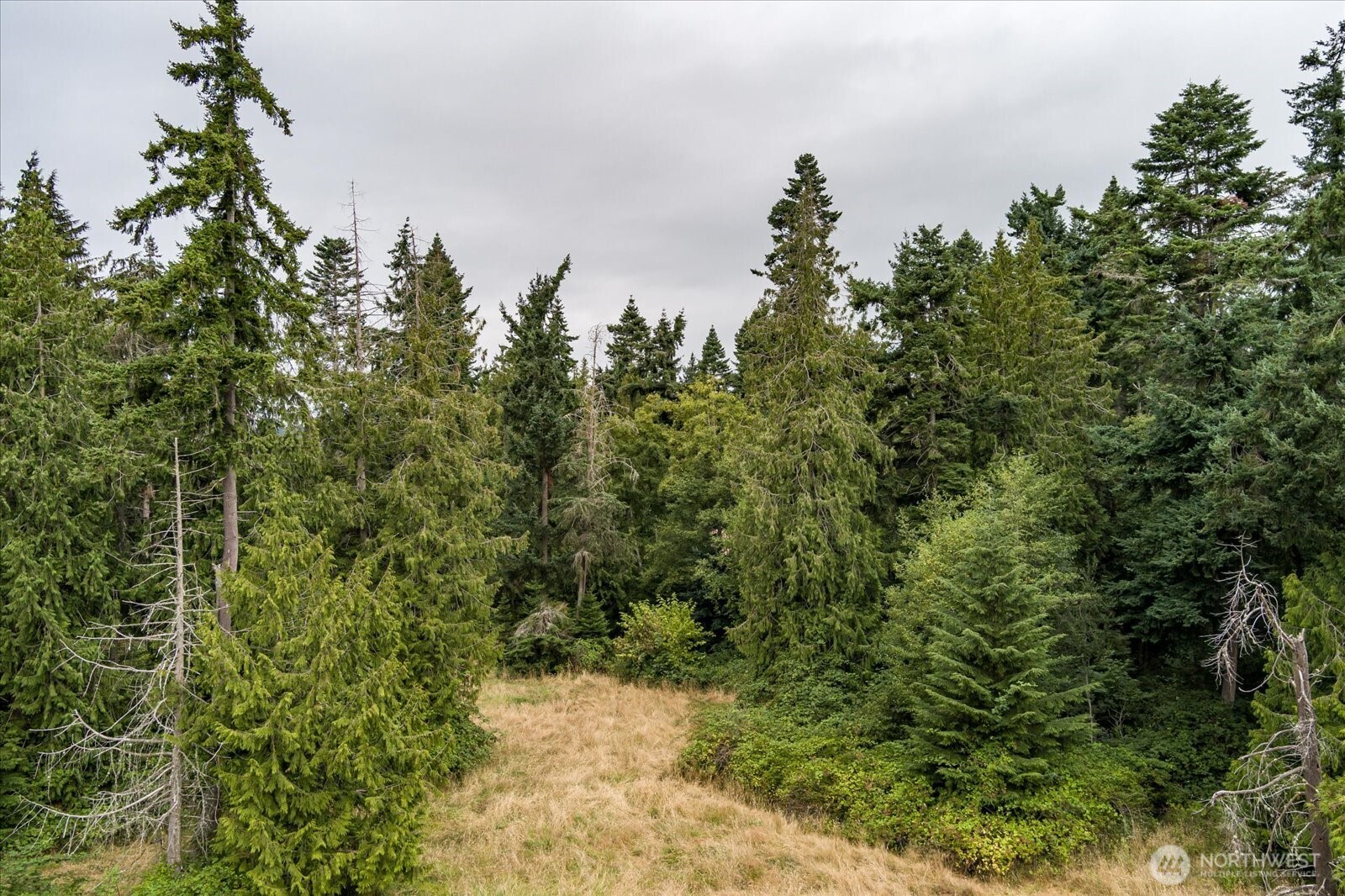 8175 Mossy Rock Road , Clinton, WA 98236