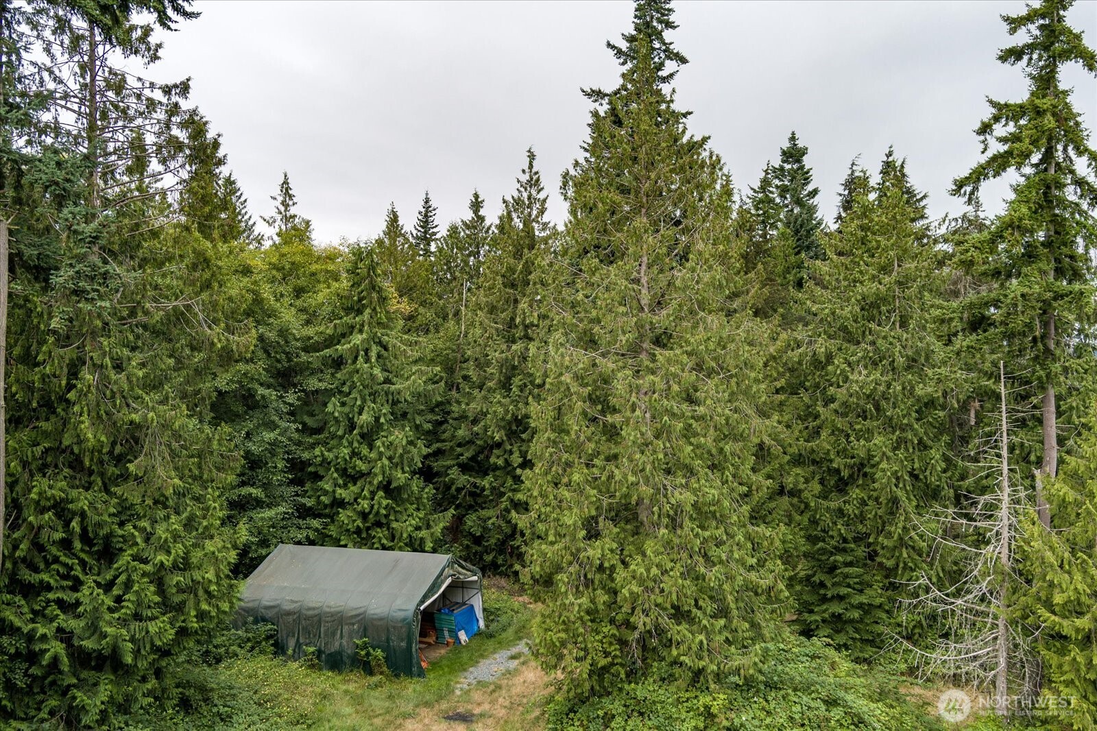 8175 Mossy Rock Road , Clinton, WA 98236