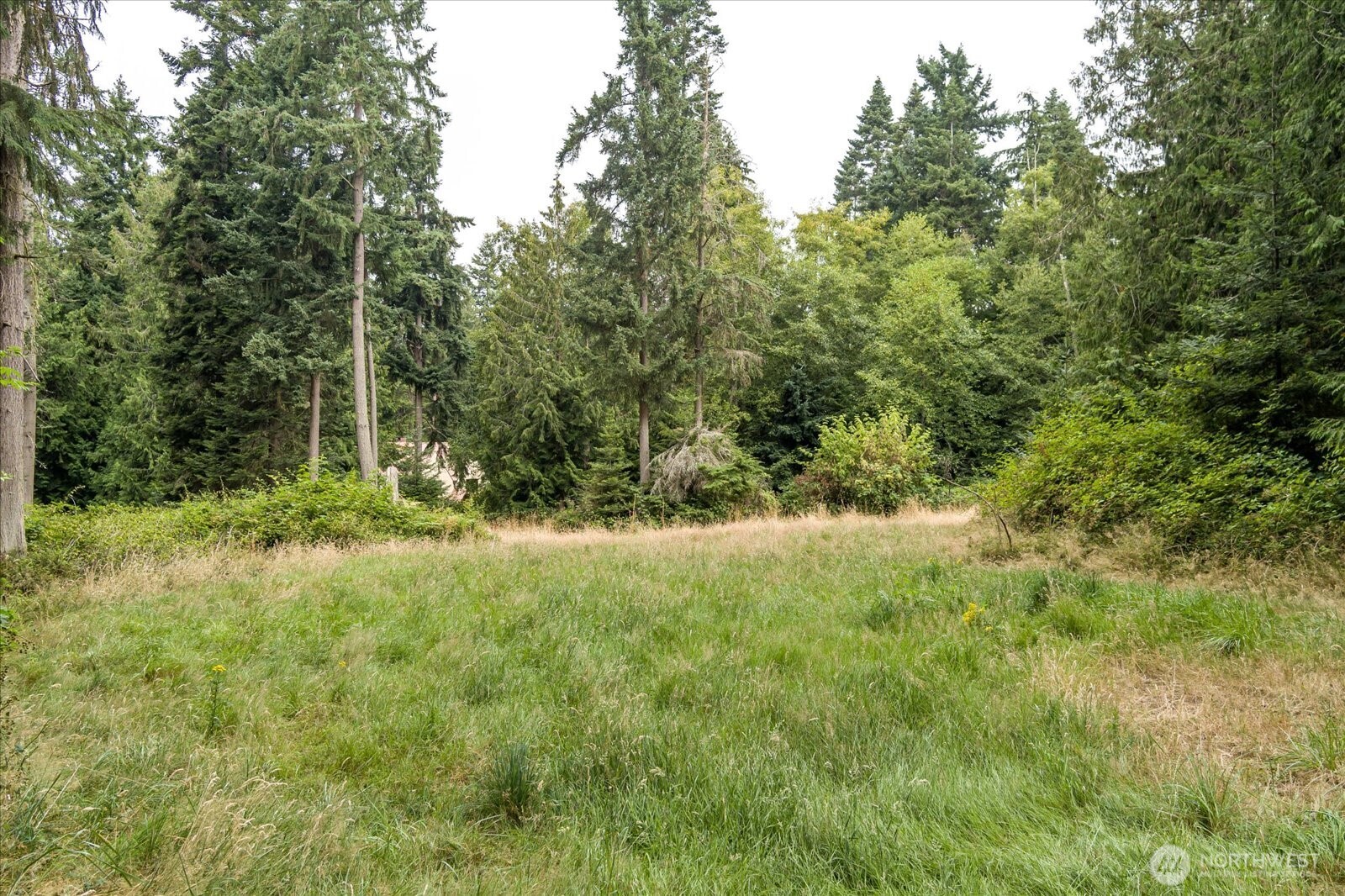 8175 Mossy Rock Road , Clinton, WA 98236