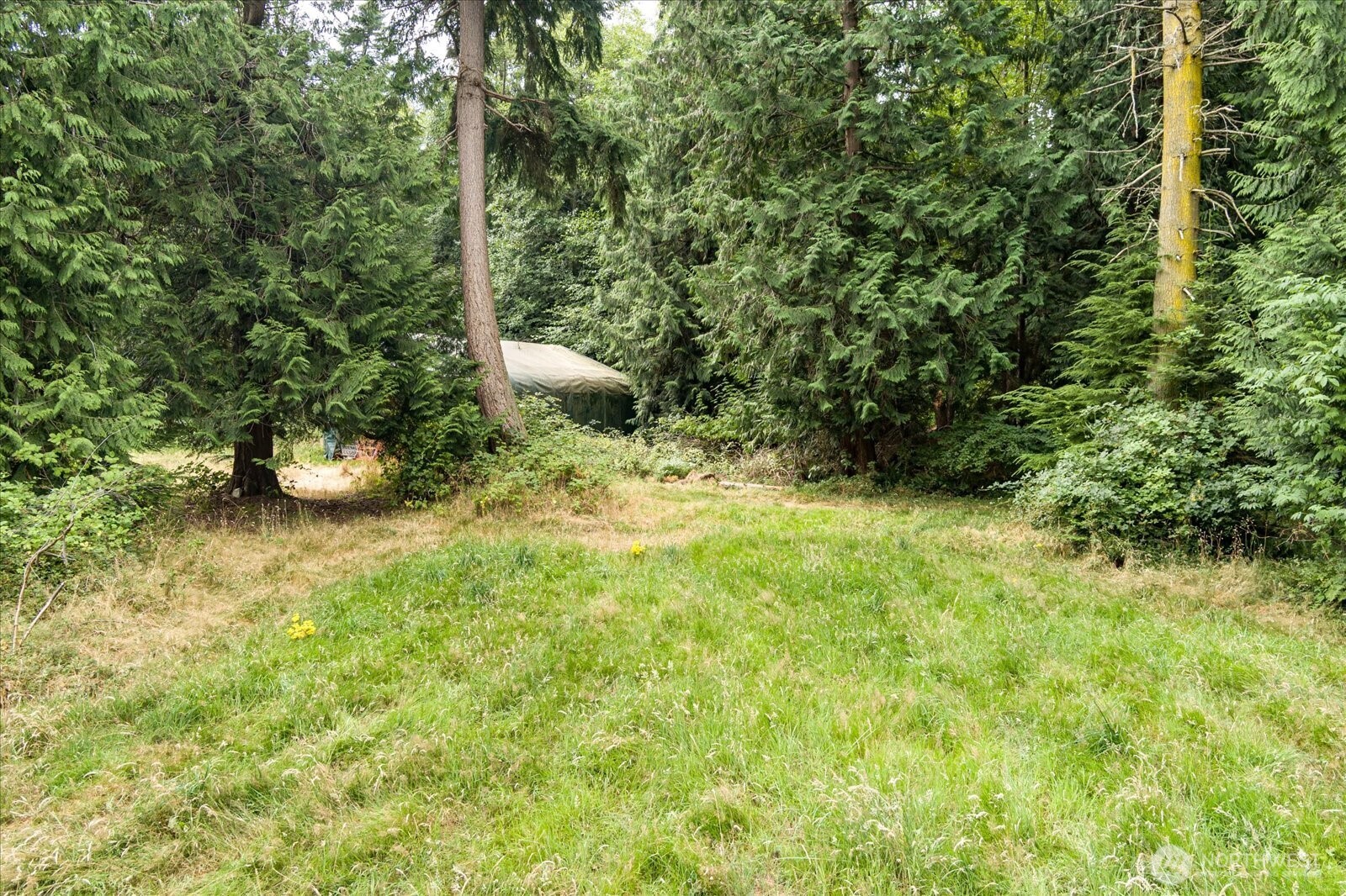 8175 Mossy Rock Road , Clinton, WA 98236