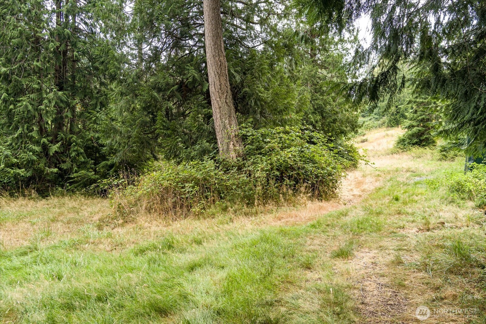 8175 Mossy Rock Road , Clinton, WA 98236