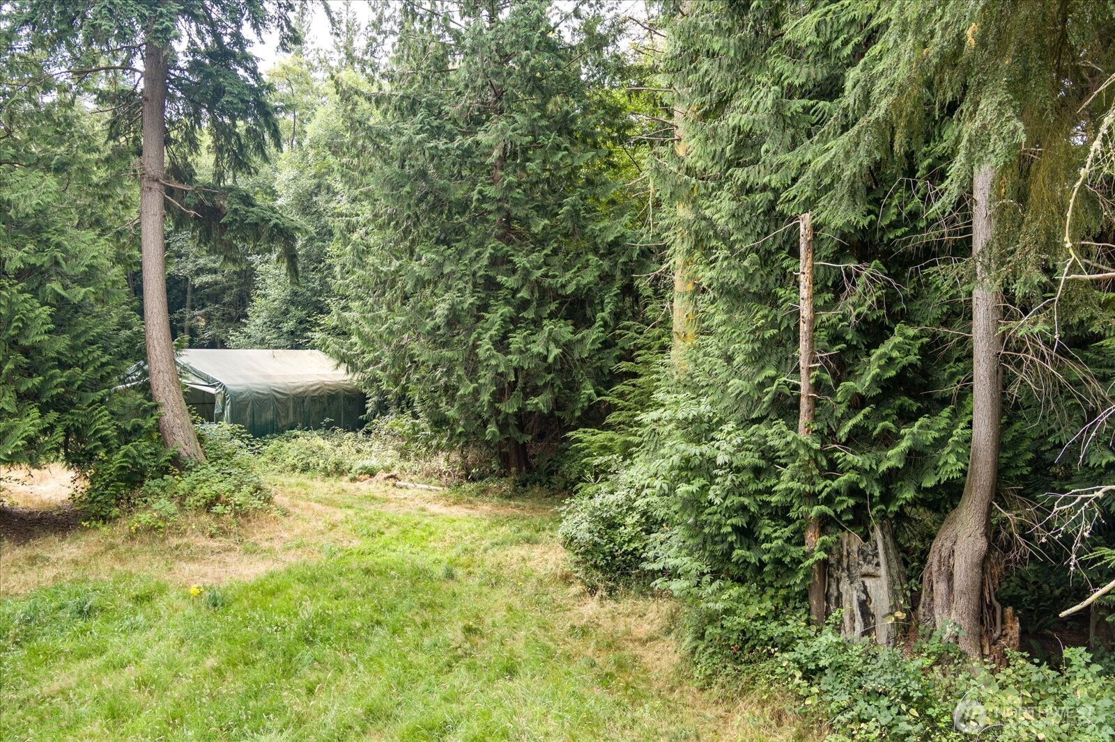 8175 Mossy Rock Road , Clinton, WA 98236