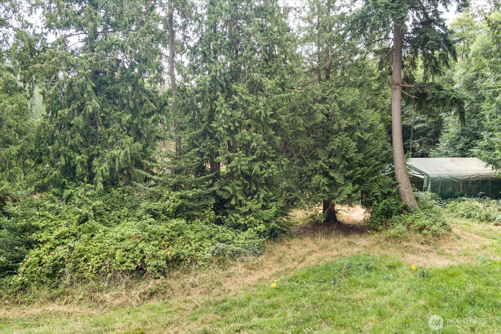 8175 Mossy Rock Road , Clinton, WA 98236
