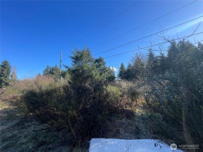 0 222nd Street E, Graham, WA 98338 - Photo 11