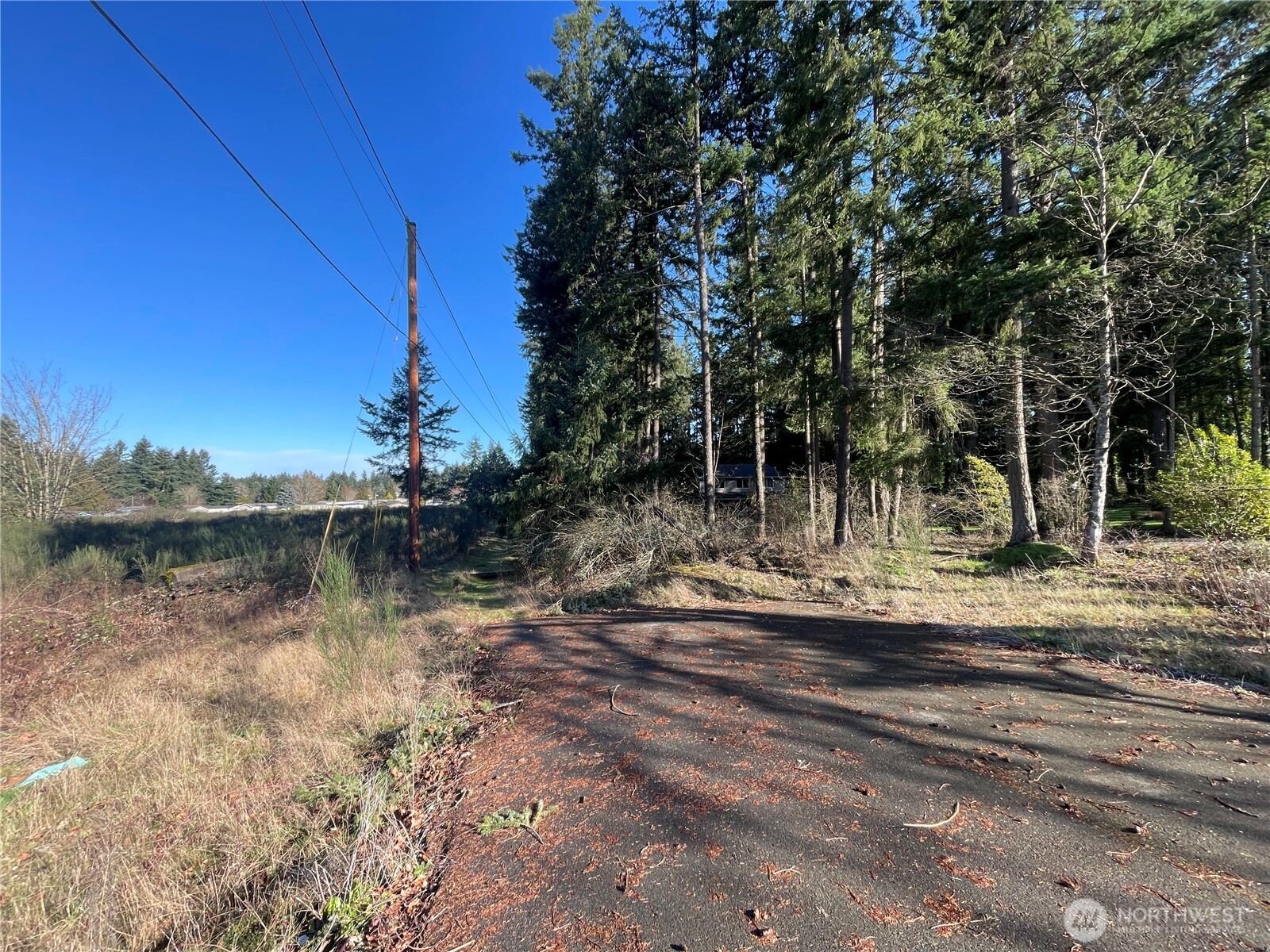 0 222nd Street E, Graham, WA 98338
