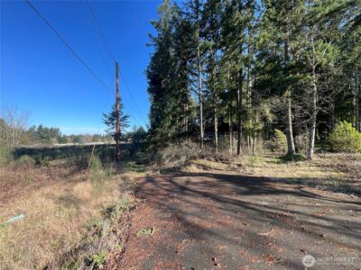 0 222nd Street E, Graham, WA 98338 - Photo 6