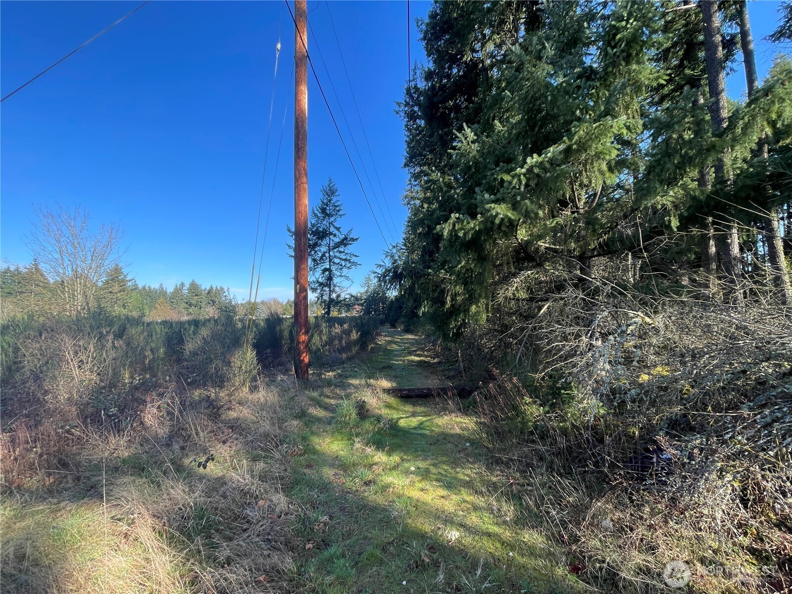 0 222nd Street E, Graham, WA 98338
