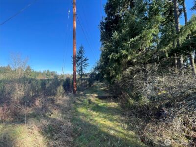 0 222nd Street E, Graham, WA 98338 - Photo 7