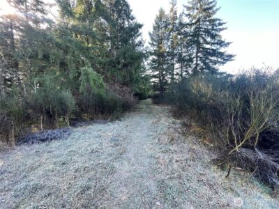 0 222nd Street E, Graham, WA 98338 - Photo 8