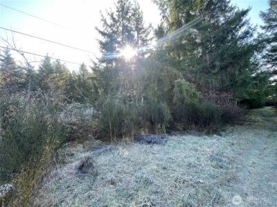 0 222nd Street E, Graham, WA 98338 - Photo 9