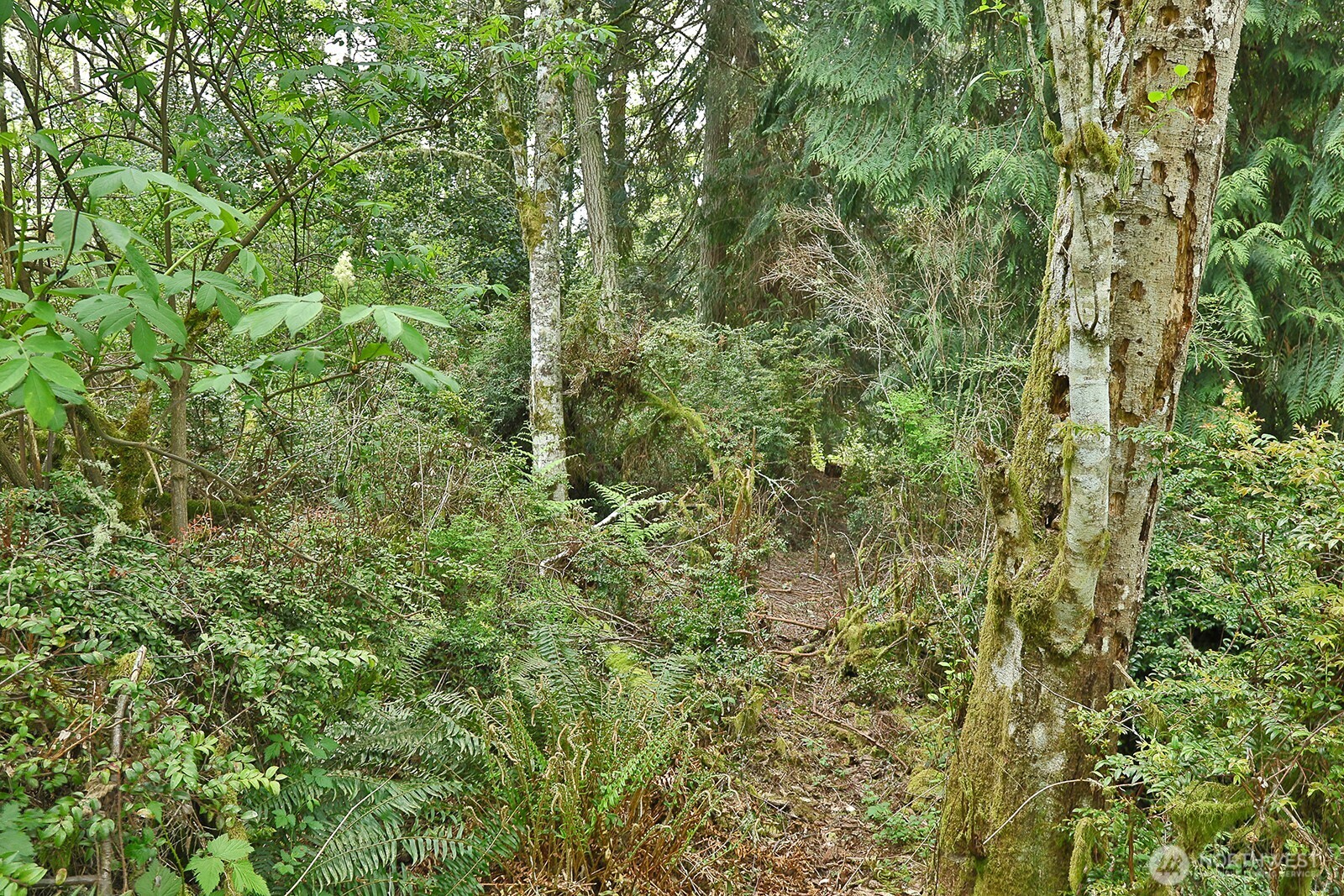 0 XXX Goss Lake Road , Langley, WA 98260