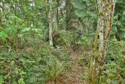 0 XXX Goss Lake Road , Langley, WA 98260
