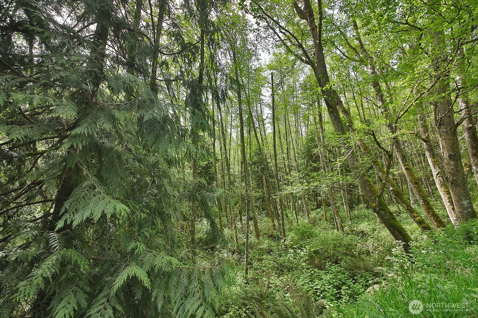 0 XXX Goss Lake Road , Langley, WA 98260