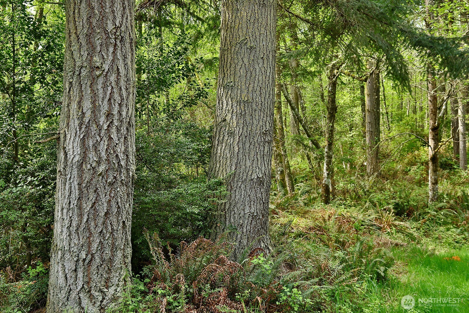 0 XXX Goss Lake Road , Langley, WA 98260
