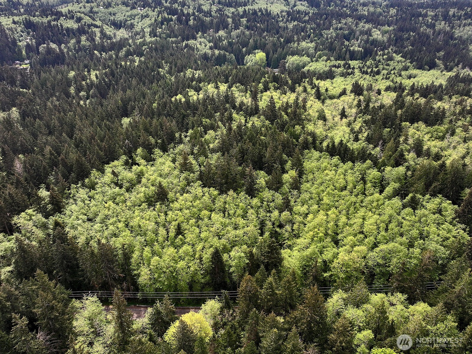 0 XXX Goss Lake Road , Langley, WA 98260