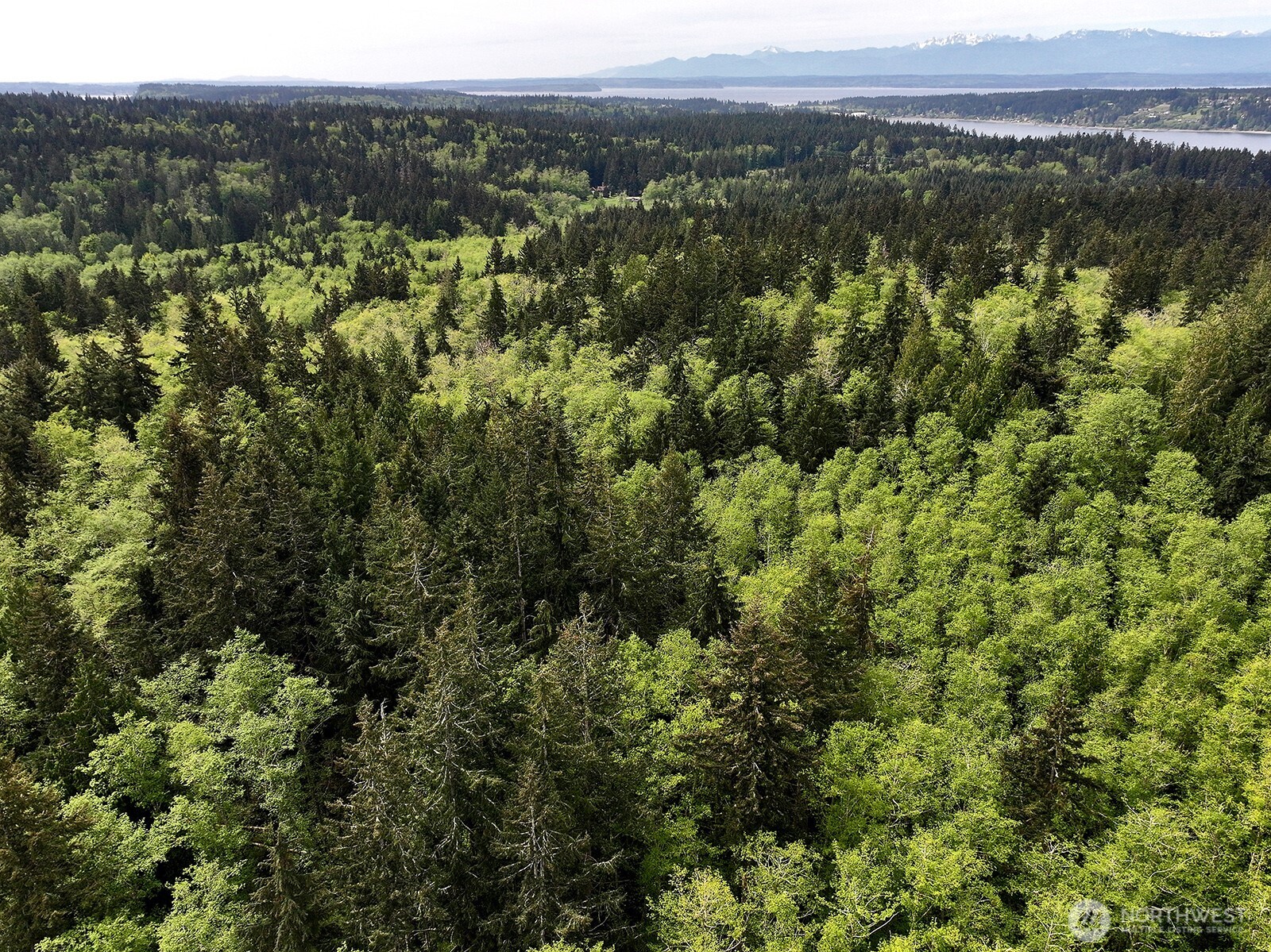 0 XXX Goss Lake Road , Langley, WA 98260