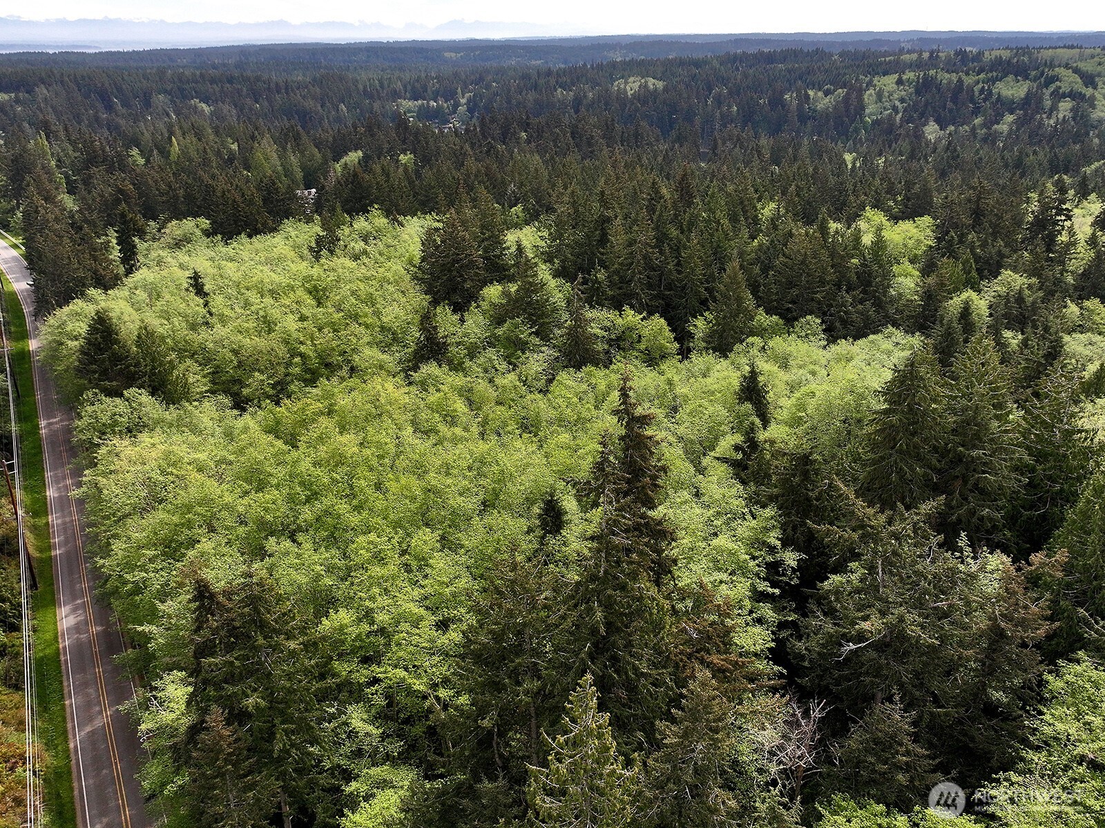 0 XXX Goss Lake Road , Langley, WA 98260