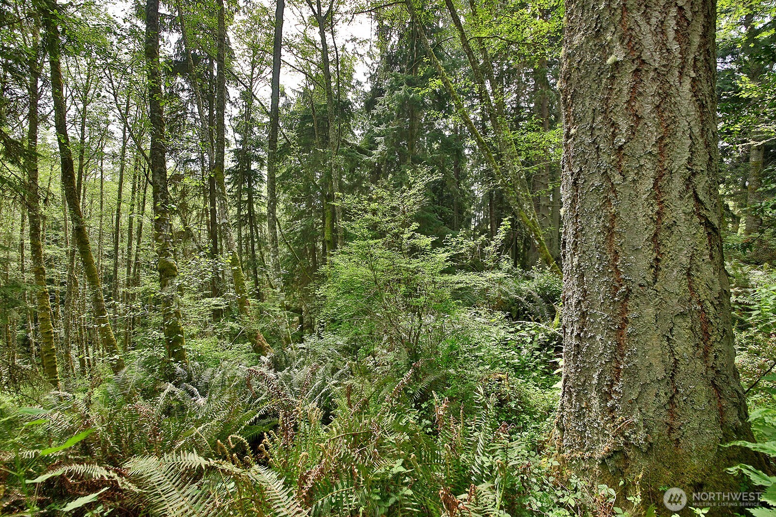0 XXX Goss Lake Road , Langley, WA 98260