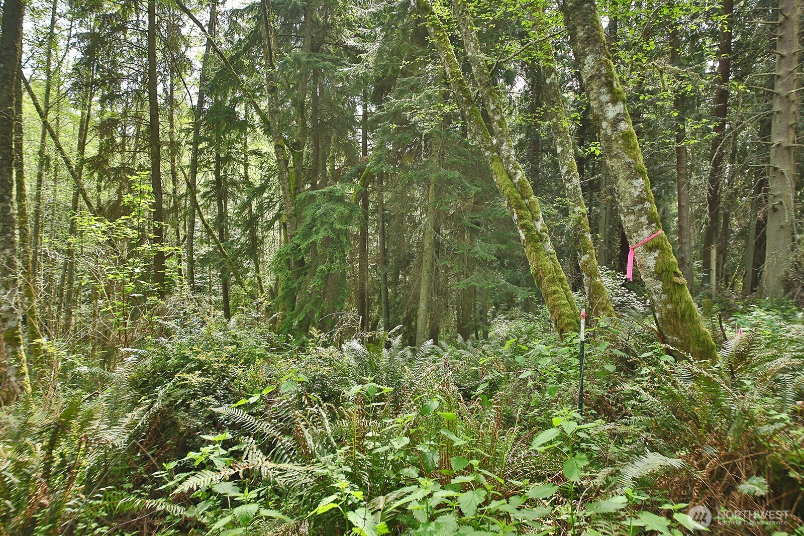 0 XXX Goss Lake Road , Langley, WA 98260