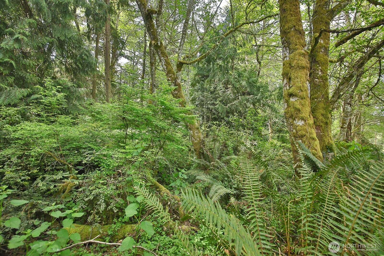 0 XXX Goss Lake Road , Langley, WA 98260