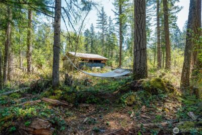 271 Skate Creek Road , Ashford, WA 98304 - Photo 32