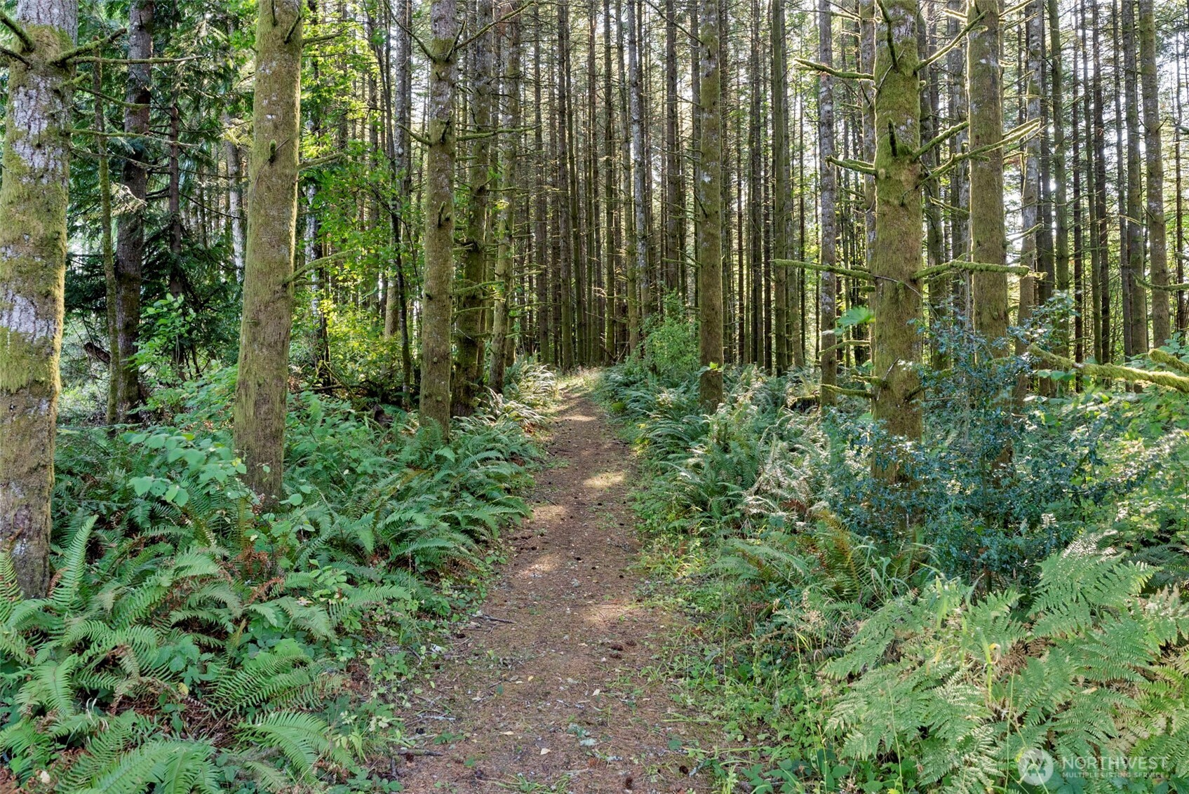 137 Eloah Way , Centralia, WA 98531