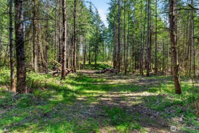 28461 Mountain Hwy E, Graham, WA 98338 - Photo 11