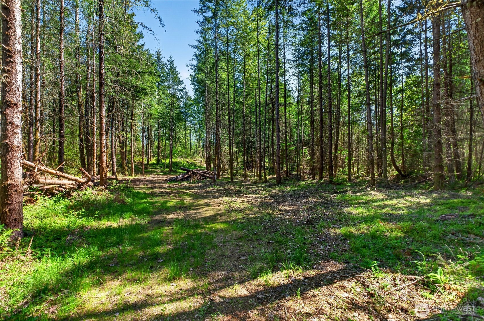 28461 Mountain Hwy E, Graham, WA 98338