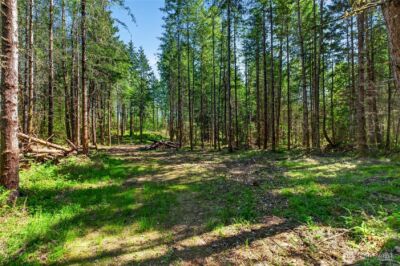 28461 Mountain Hwy E, Graham, WA 98338 - Photo 12
